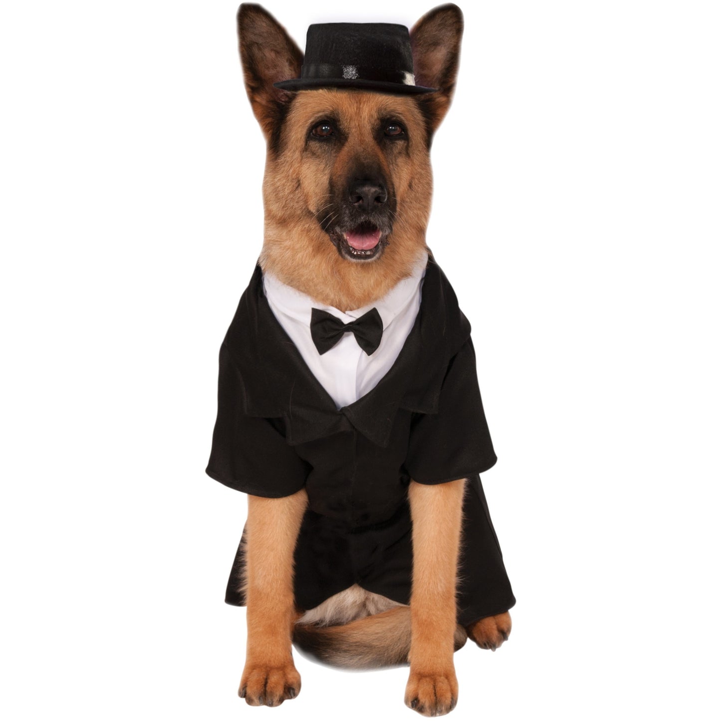 Big Dog Dapper Suit Pet Costume
